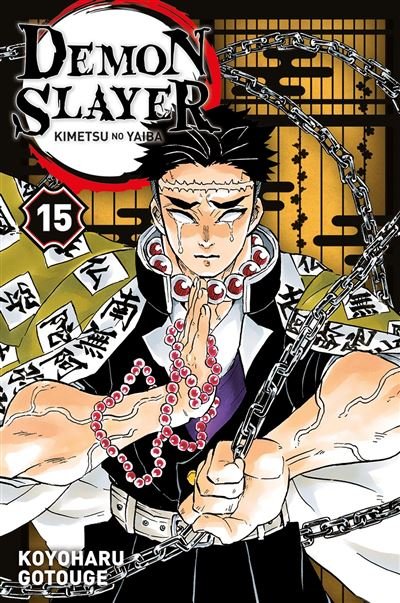 DEMON SLAYER - TOME 15