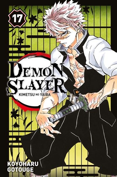 DEMON SLAYER - TOME 17