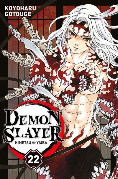 DEMON SLAYER - TOME 22