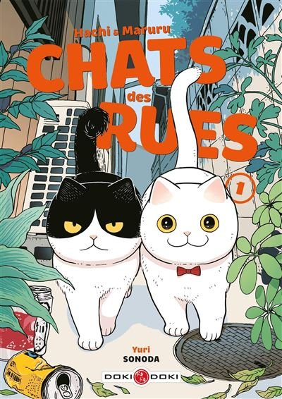 HACHI & MARURU - TOME 1 - CHATS DES RUES