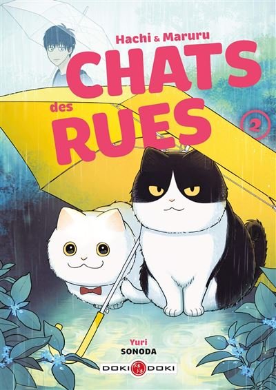 HACHI & MARURU - TOME 02 - CHATS DES RUES