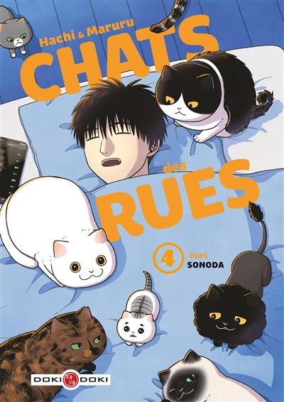 HACHI & MARURU - TOME 04 - CHATS DES RUES