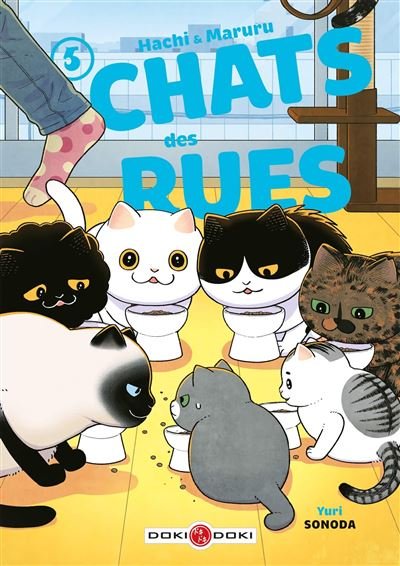 HACHI & MARURU - TOME 05 - CHATS DES RUES