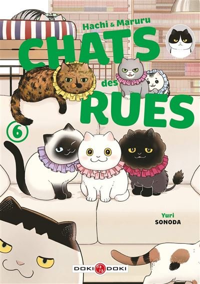 HACHI & MARURU - TOME 06 - CHATS DES RUES