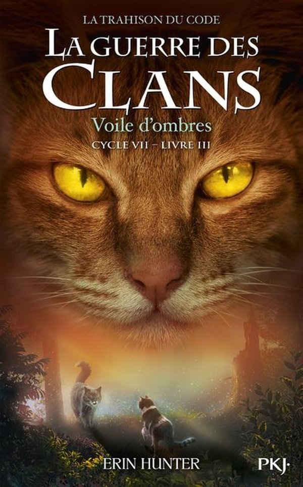 LA GUERRE DES CLANS - CYCLE VII - TOME 3 - VOILE D'OMBRES